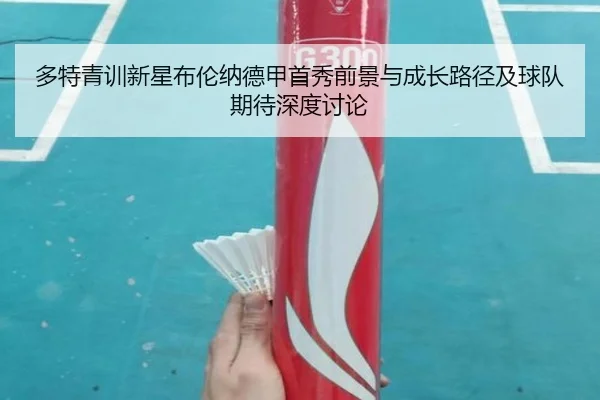 多特青训新星布伦纳德甲首秀前景与成长路径及球队期待深度讨论 | kaiyun