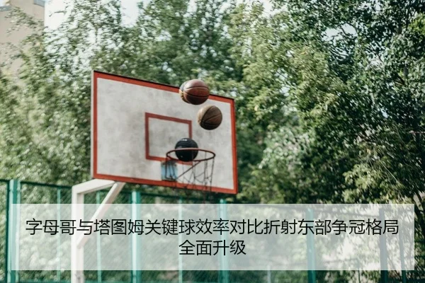 字母哥与塔图姆关键球效率对比折射东部争冠格局全面升级（kaiyun）